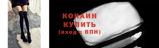 стаф Кулебаки