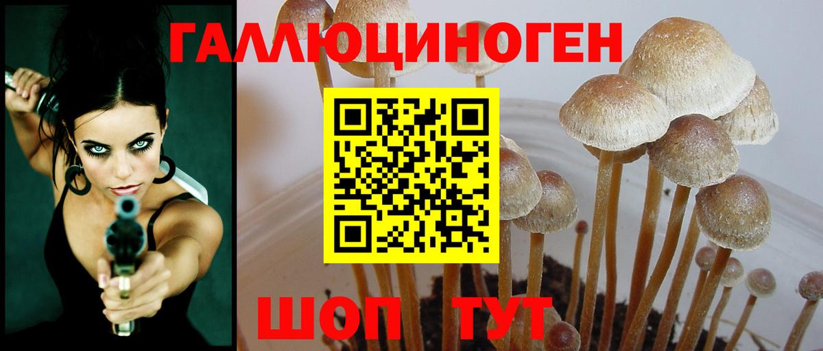 Галлюциногенные грибы Psilocybine cubensis  Вход с VPN  Мелеуз 